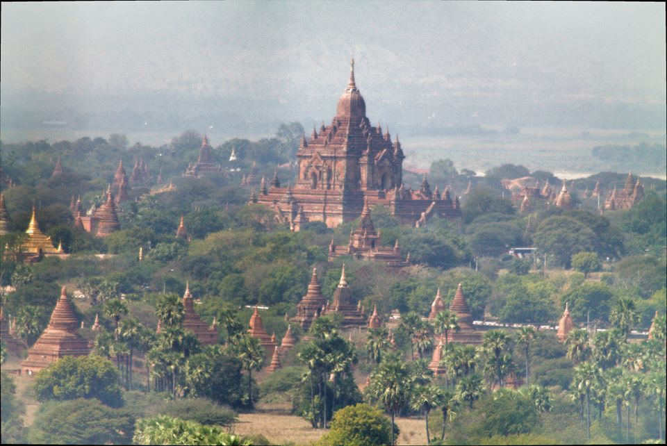 10478355_10153162049087528_8293989031047306553_n