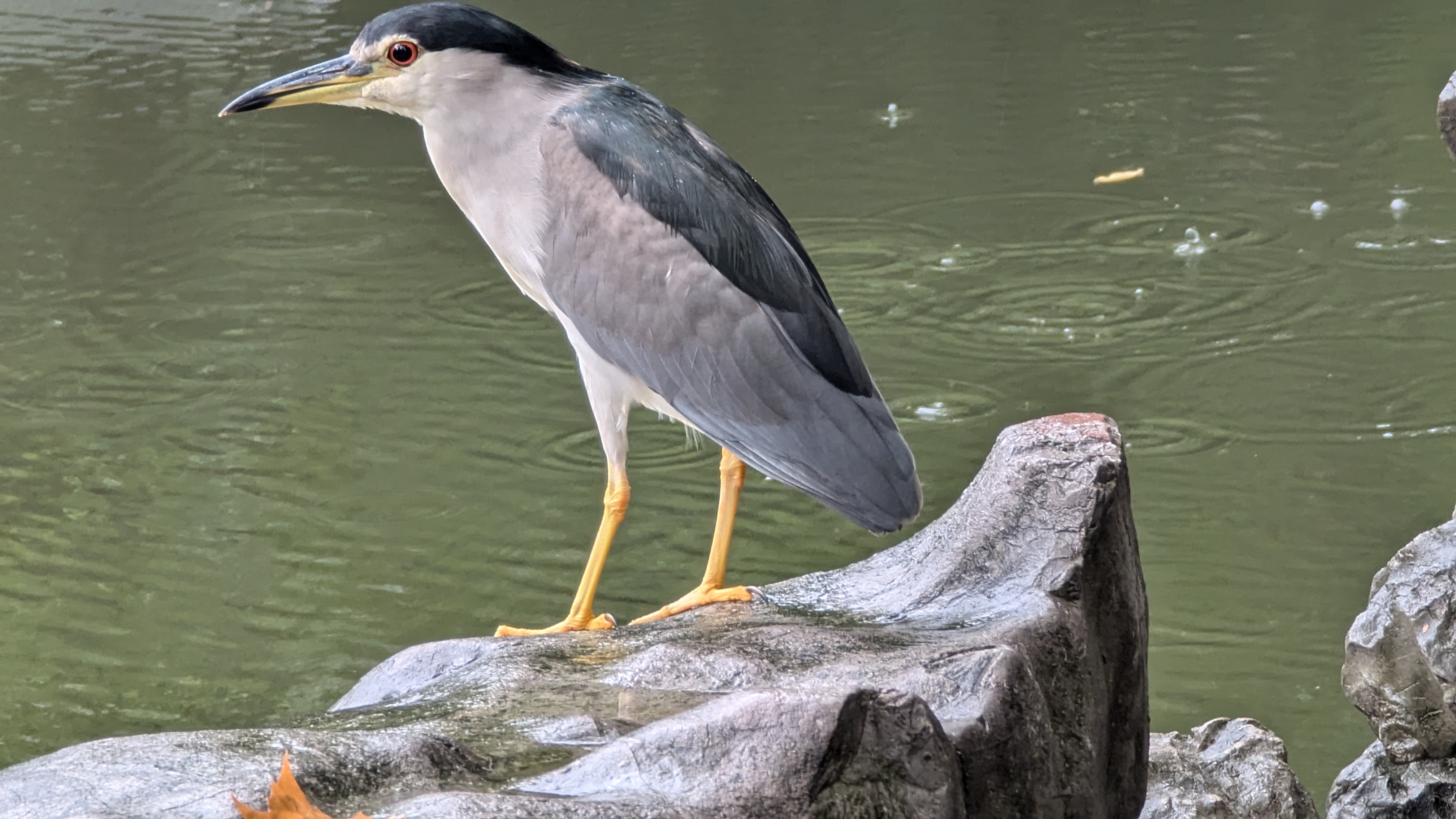 PXL_20241007_051624540