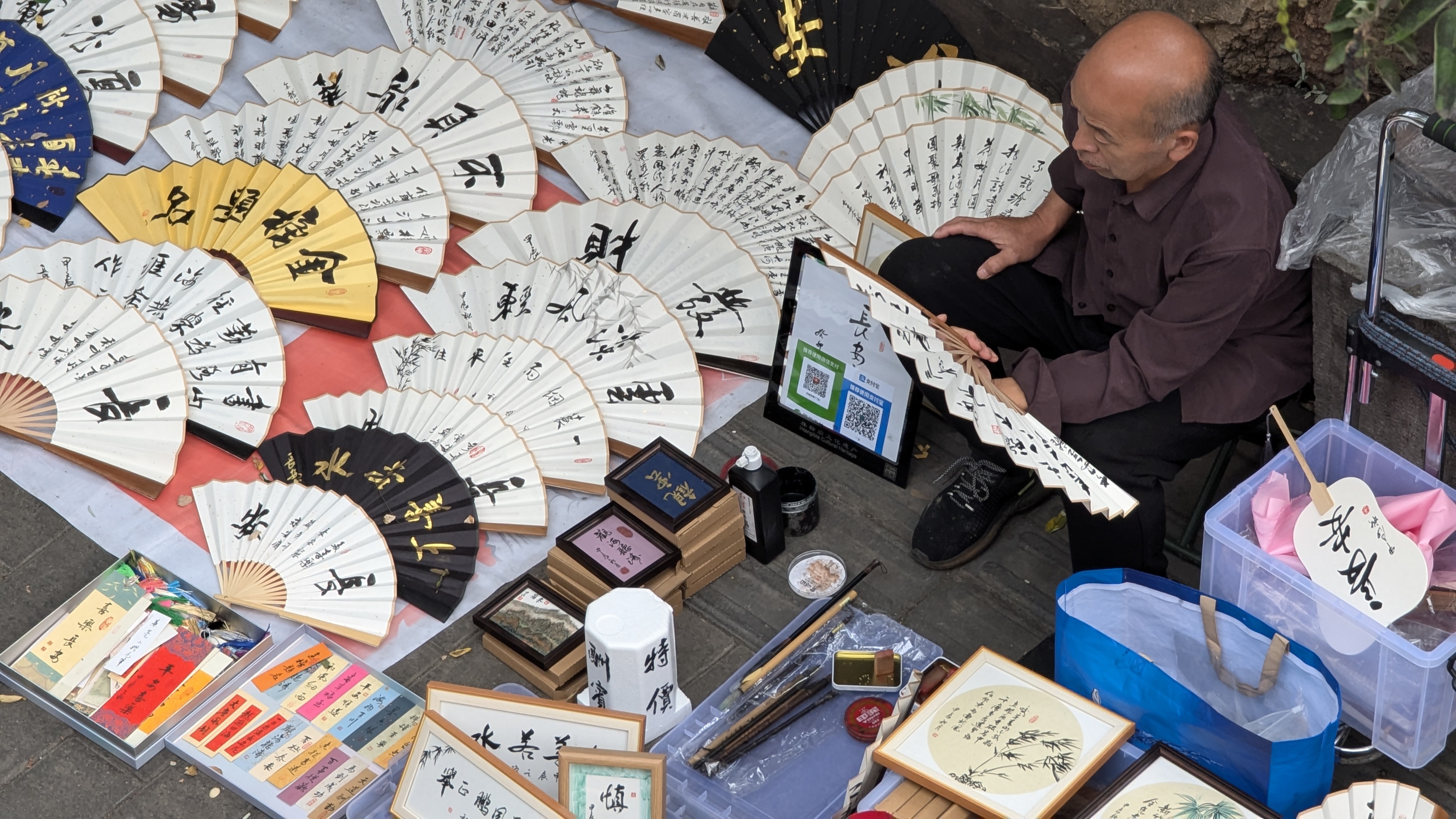 PXL_20241009_084904892