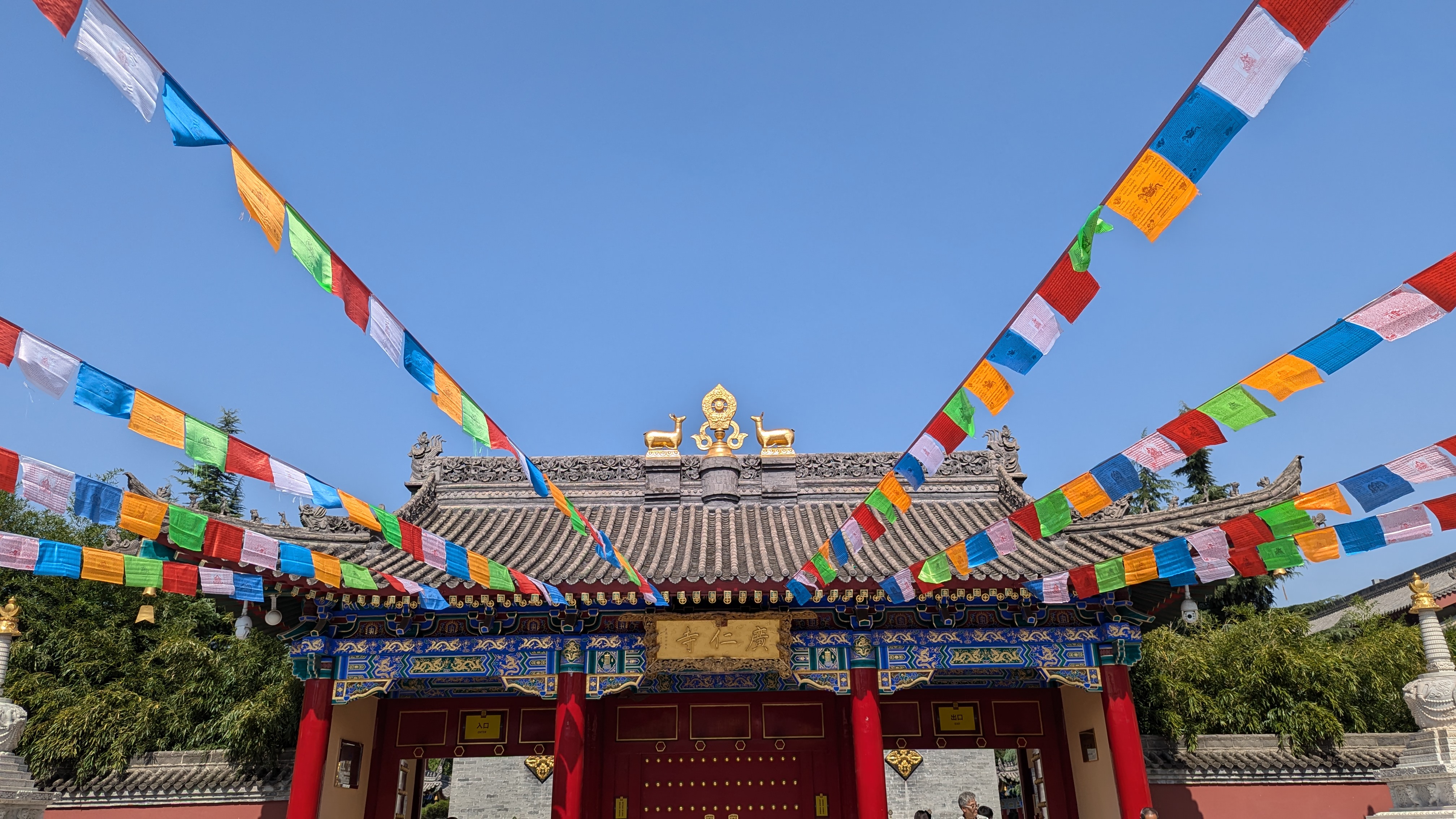 PXL_20241010_043630031.MP