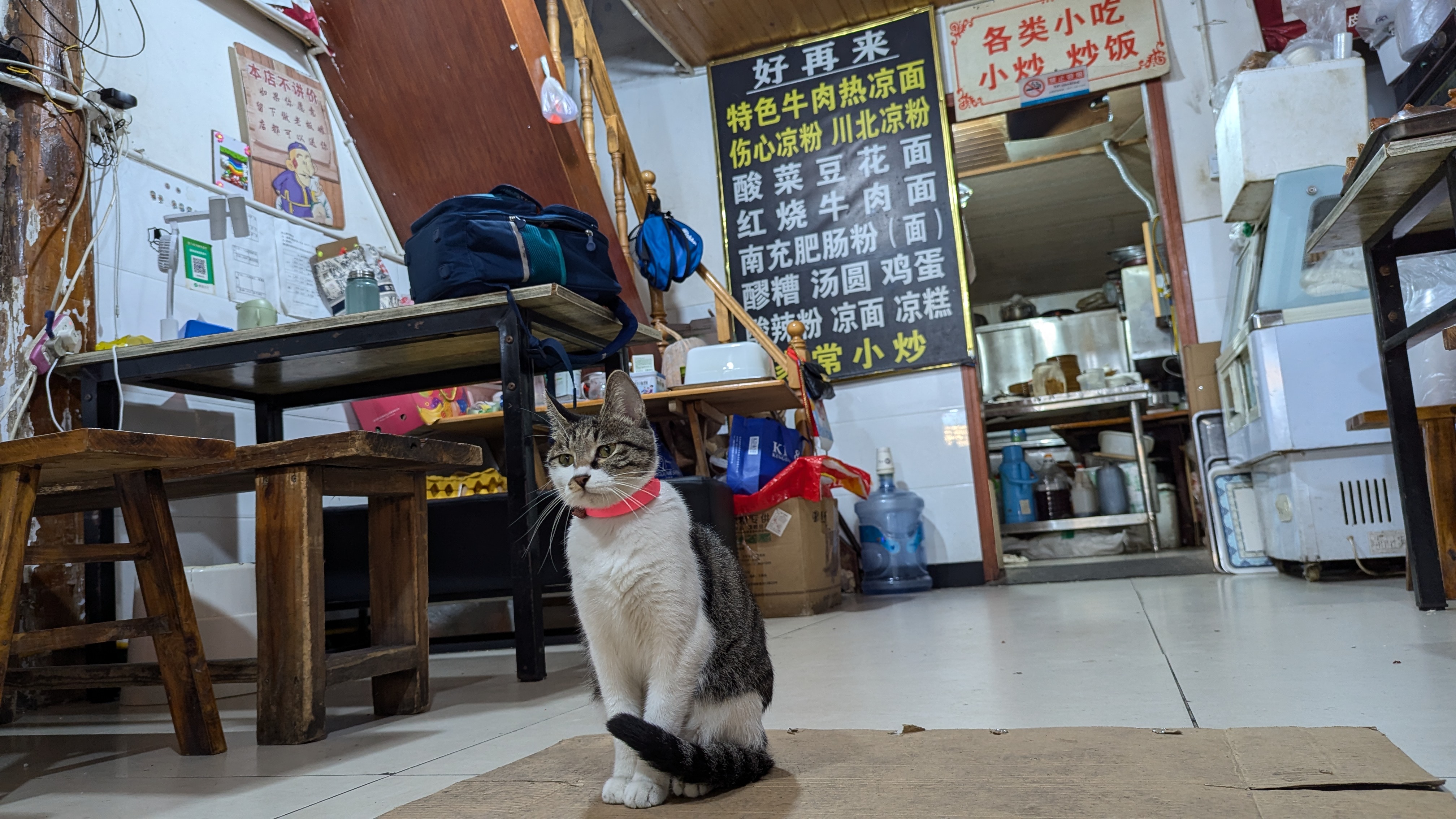 PXL_20241010_132737894.MP