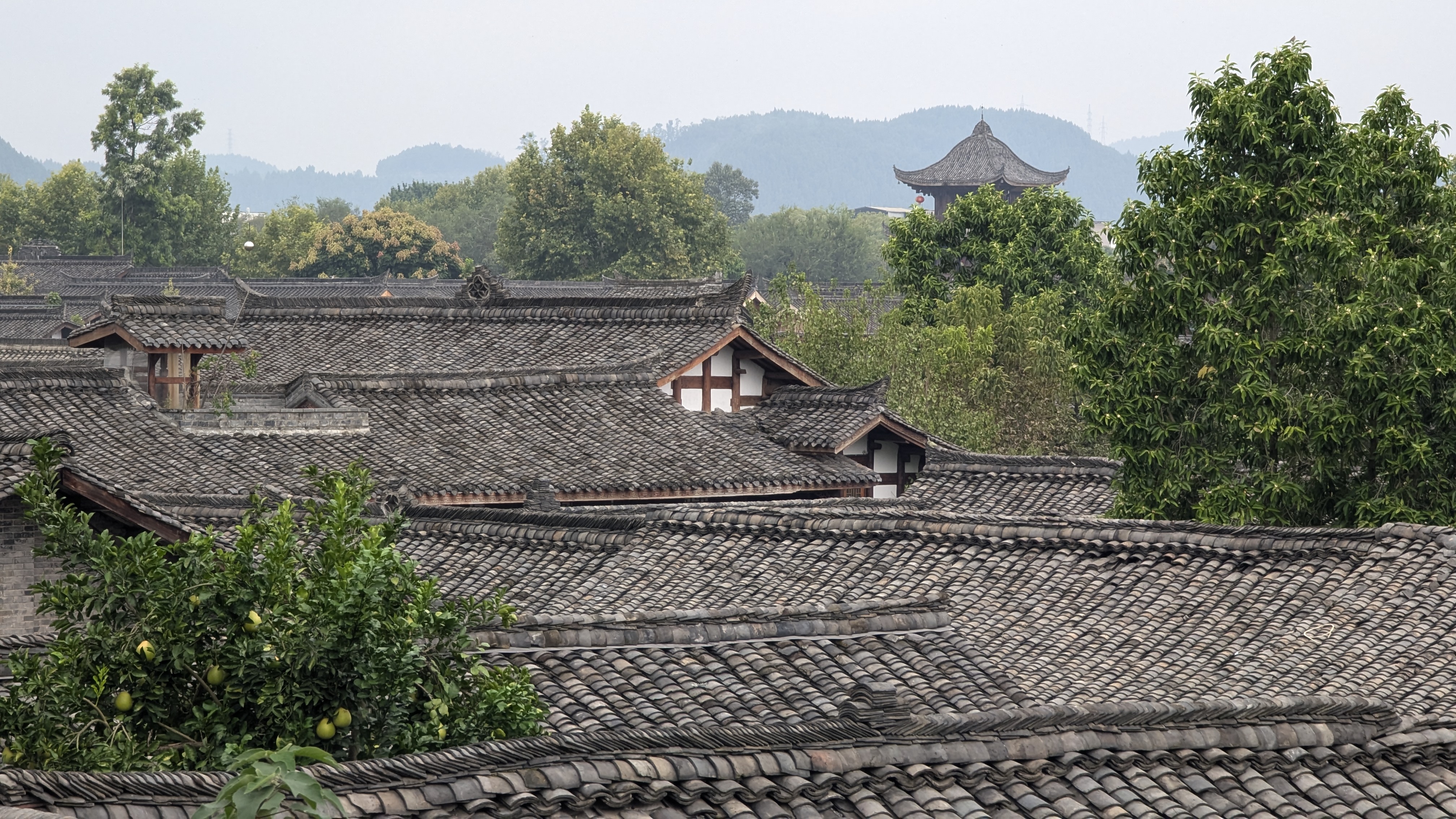 PXL_20241011_060427734