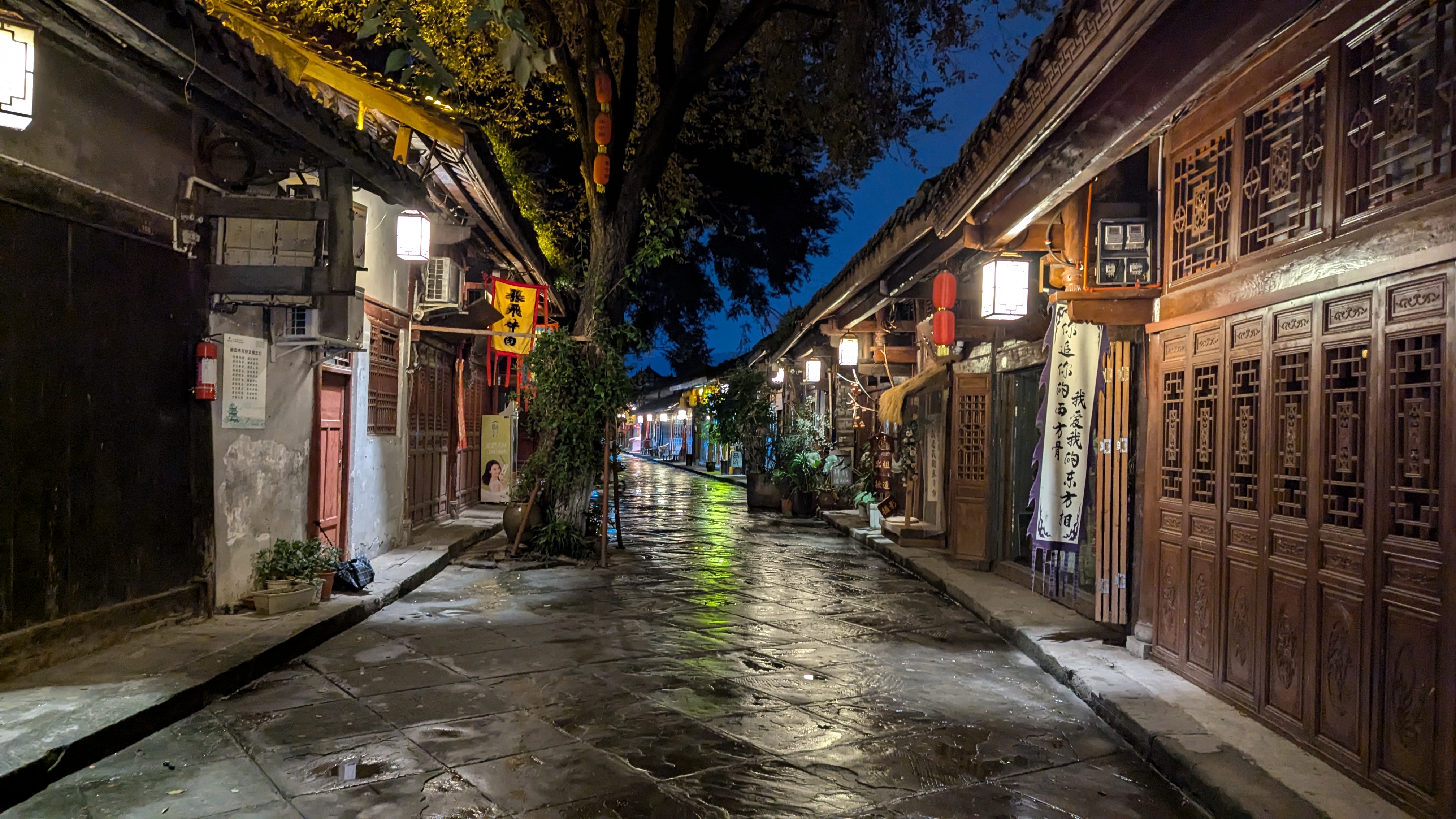 PXL_20241011_120709500