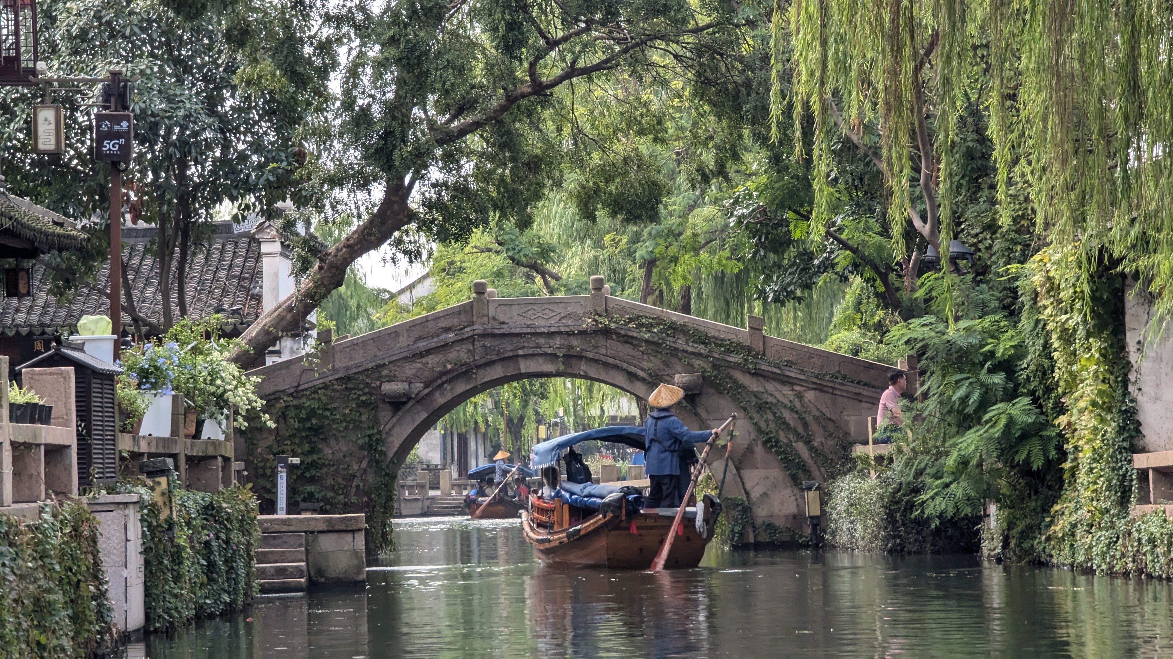 PXL_20241017_040824445